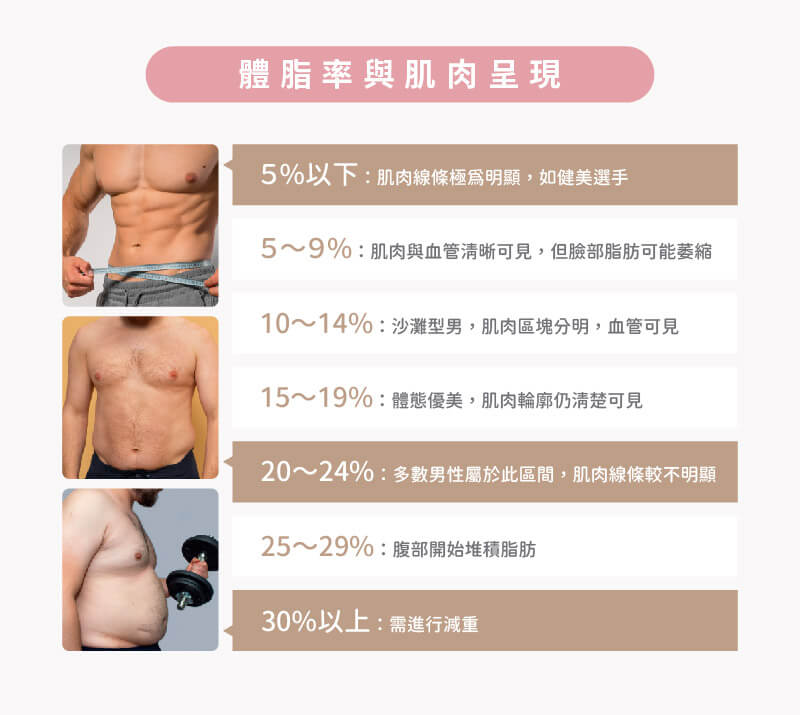體脂率與肌肉呈現示意圖