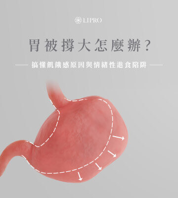 一直吃不飽，吃完很快又會餓是胃被撐壞的徵兆嗎?了解飢餓與飽足感的平衡機制與維持正常的關鍵